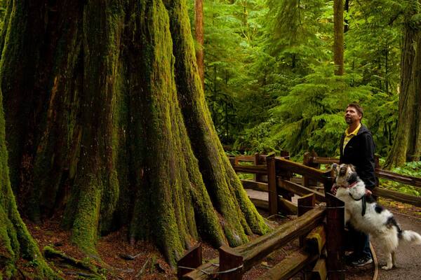 マクミラン州立公園 どの含み 森林 及び 男性 (個人)