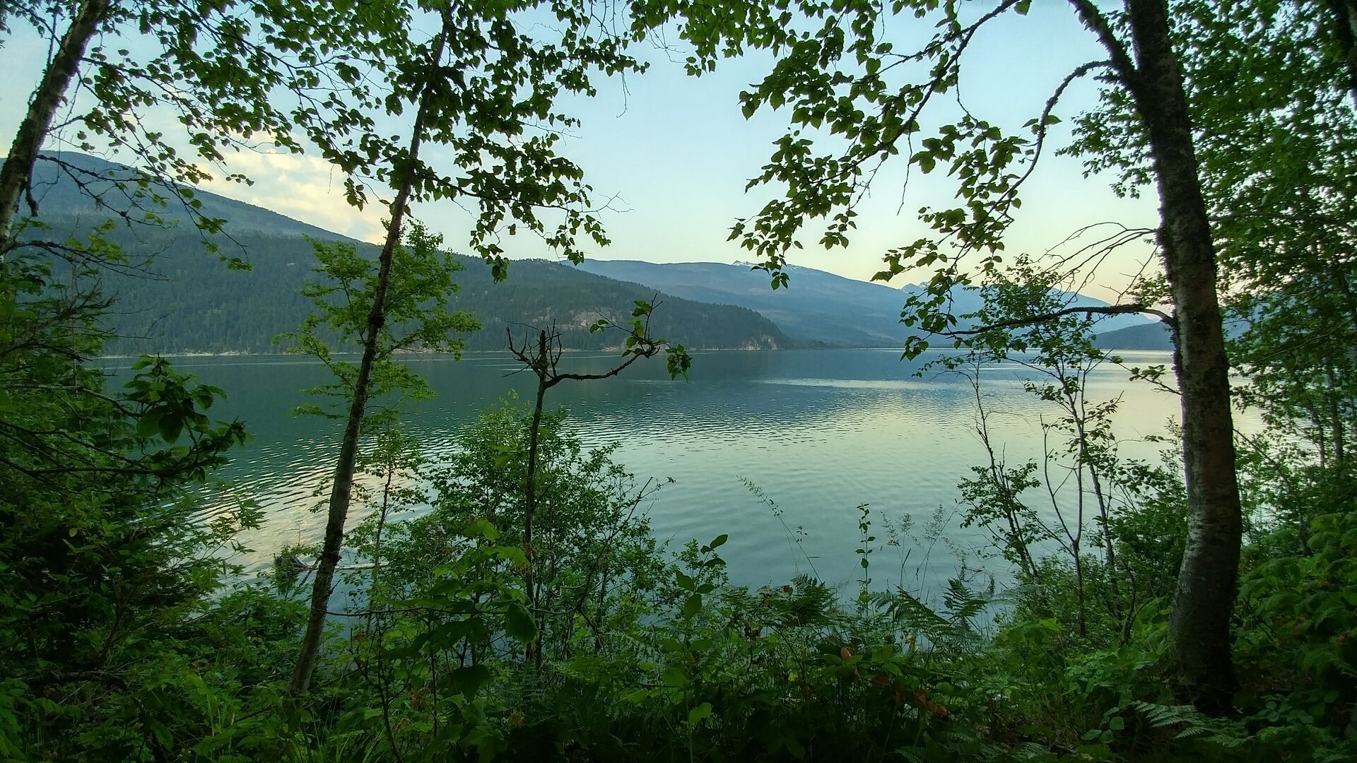 Small camp ground near Revelstoke. Large beautiful campsites that are well maintained, but doesnt offer shower facilities. Great location for a quiet place to relax close to town.