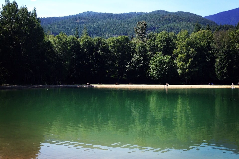 Un lago tranquillo circondato da una fitta foresta e montagne.