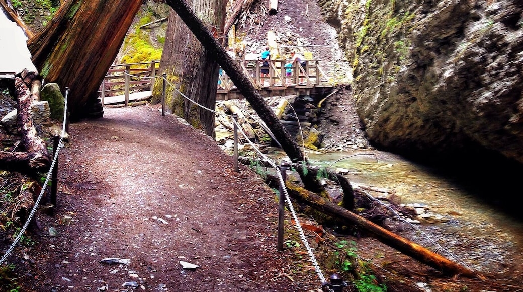 Along the path that plates you to Margaret Falls. It feels like your trapped deep within the mountain surrounded by towering trees and the smell of a rain forest. Normally a 10 minute hike - I turned it into 45 from all the photos I took and from just absorbing it all in. This place reminded me so much of Rickets Glen but in a much larger scale.