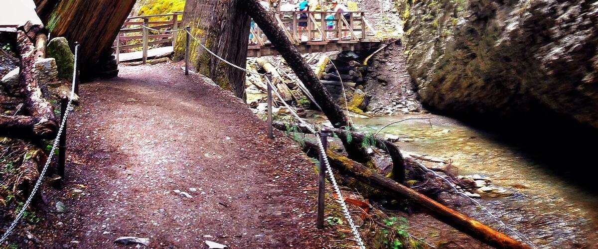 Along the path that plates you to Margaret Falls. It feels like your trapped deep within the mountain surrounded by towering trees and the smell of a rain forest. Normally a 10 minute hike - I turned it into 45 from all the photos I took and from just absorbing it all in. This place reminded me so much of Rickets Glen but in a much larger scale.