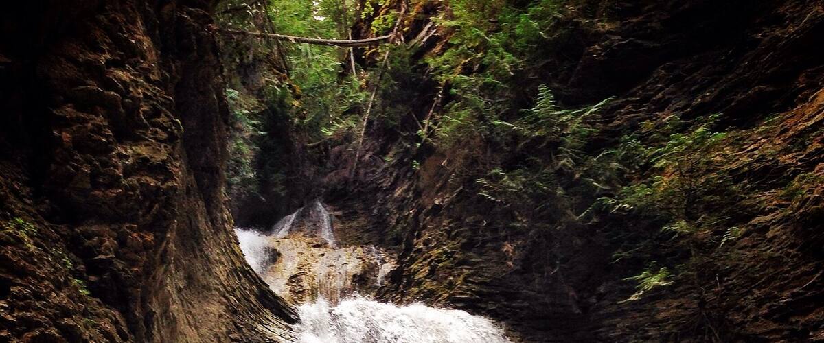 Along the path that plates you to Margaret Falls. It feels like your trapped deep within the mountain surrounded by towering trees and the smell of a rain forest. Normally a 10 minute hike - I turned it into 45 from all the photos I took and from just absorbing it all in. This place reminded me so much of Rickets Glen but in a much larger scale.