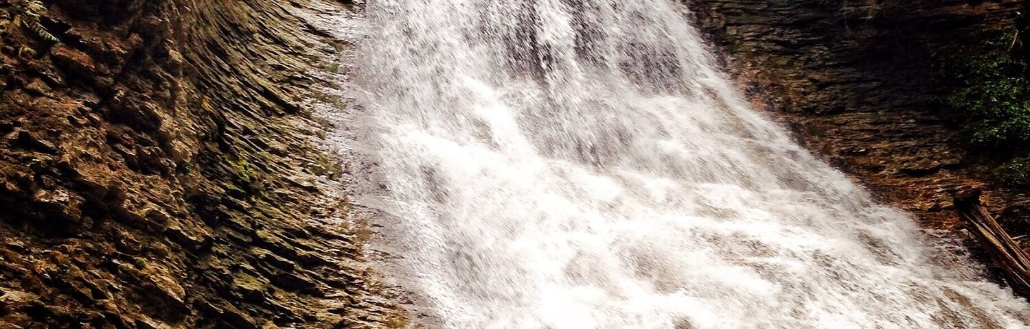 Along the path that plates you to Margaret Falls. It feels like your trapped deep within the mountain surrounded by towering trees and the smell of a rain forest. Normally a 10 minute hike - I turned it into 45 from all the photos I took and from just absorbing it all in. This place reminded me so much of Rickets Glen but in a much larger scale.