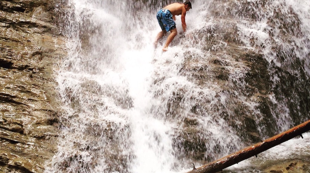A hiker making his way to the secret cave. Technically... You're not suppose to do it. But if any mother knows one thing... When have boys ever listened.