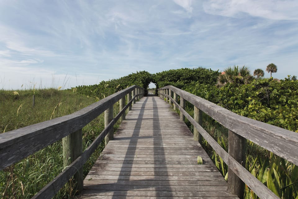 A wooden boardwalk leading through a lush, green landscape with dense vegetation and palm trees.