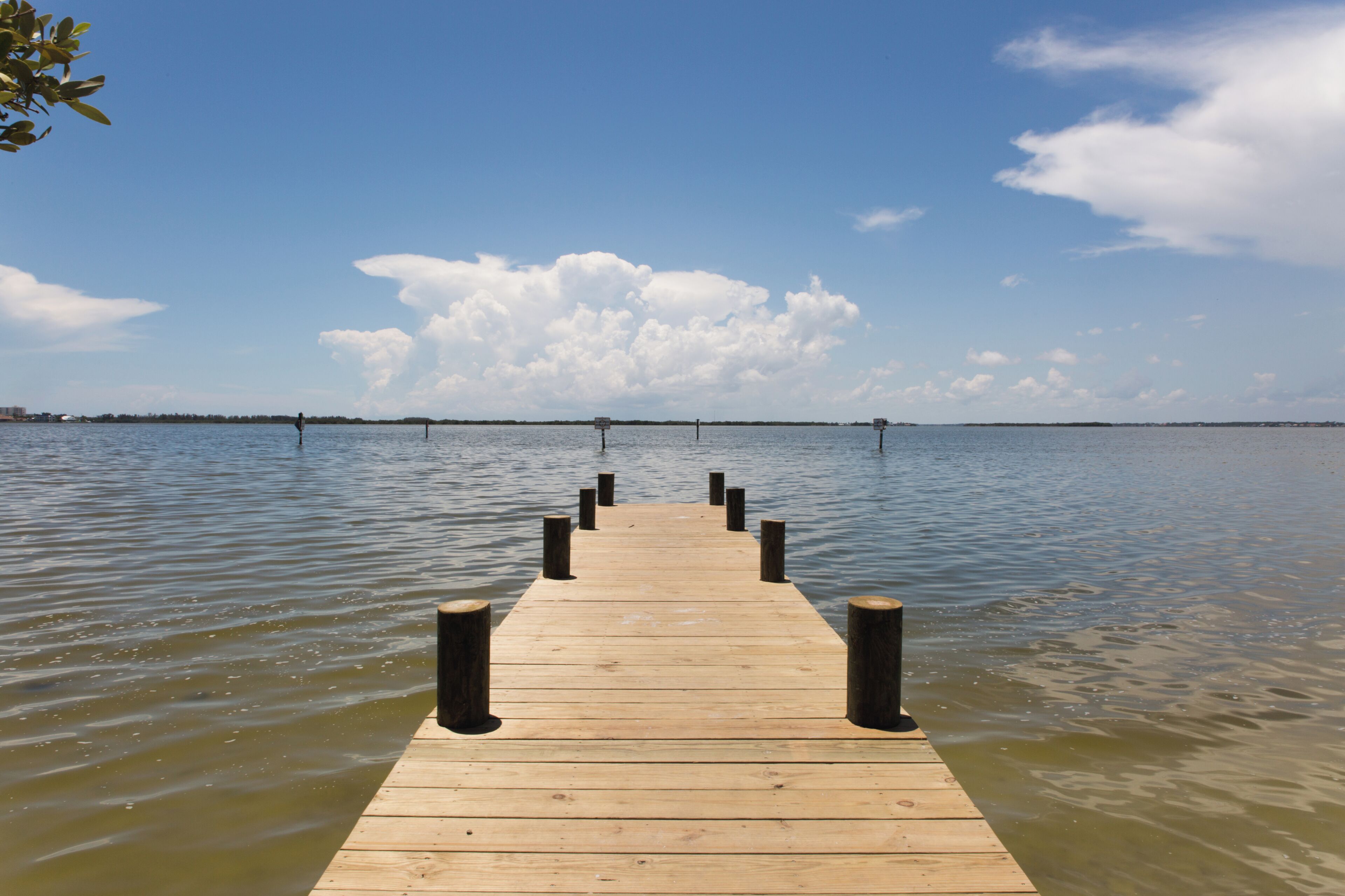サウザンド アイランド コンサヴェーション エリア