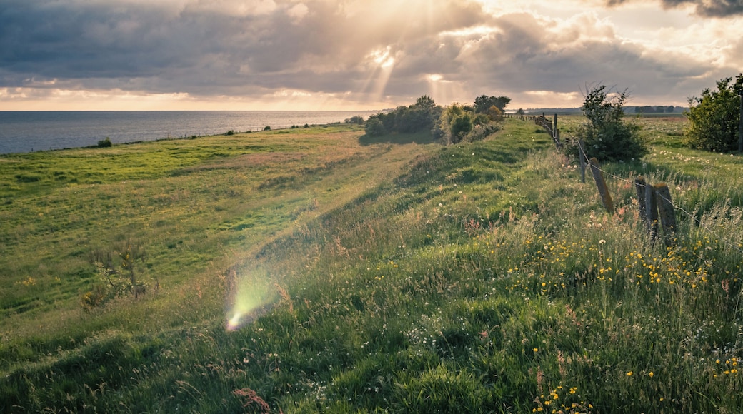 An unique almost surreal landscape in this area: a small moraine popping up in the otherwise flat landscape of Friesland in the northern Netherlands, providing some nice color gradient in the vegetation along the slope.
I find in photography a way to experience the world in a way I otherwise canât. Some years ago I went cycling in Greece but I was not capable to capture the beauty I experienced there. So, going back to Greece and being able to learn from people in real life instead of through my monitor would be a big photo game changer!
#BvSCrete