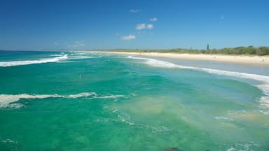 Brunswick Heads which includes a beach
