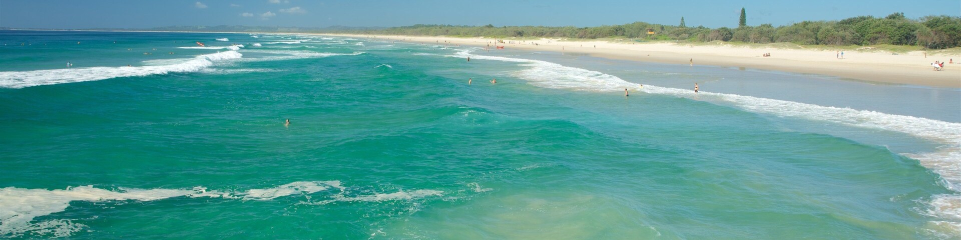Brunswick Heads showing a beach