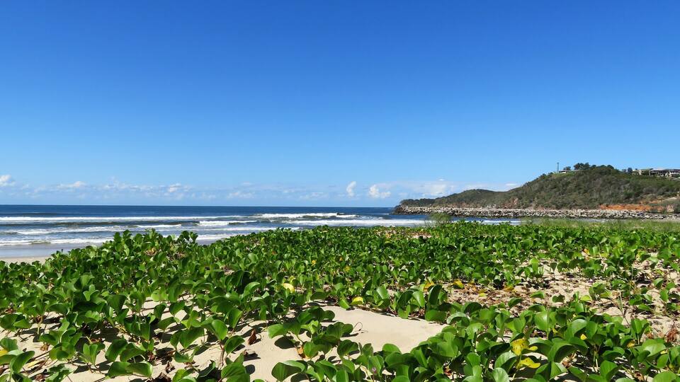 A beach with green vegetation and a rocky hill in the background.