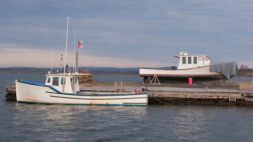 Fishing boats on a cloudy day at Pictou, Nova Scotia.