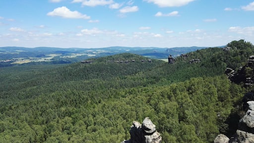 Blick vom Gohrisch über die Sächsische Schweiz