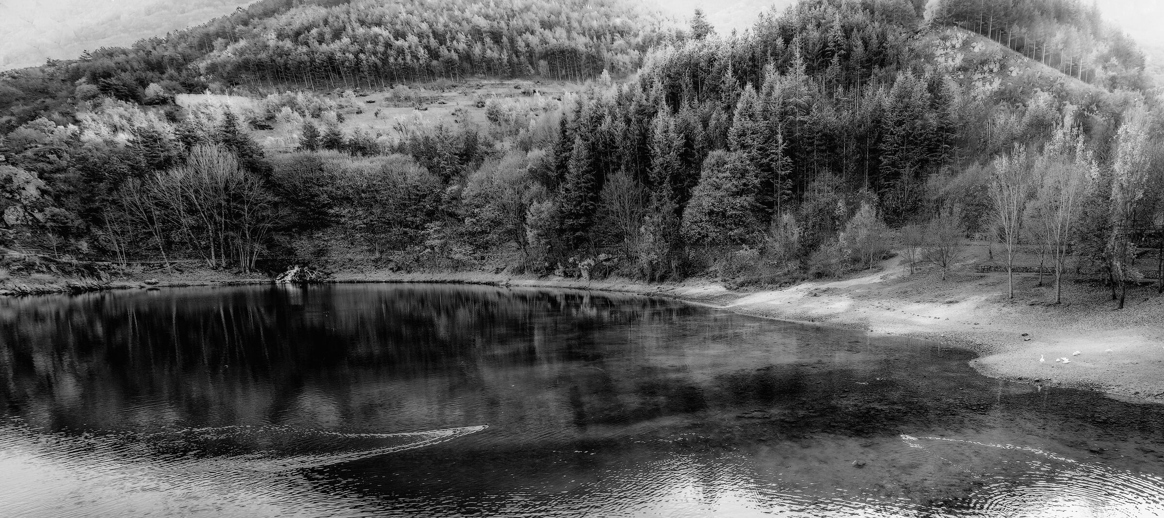 The Sagittarius Gole, spectacular and picturesque canyon carved by centuries of erosion of the rushing waters of the Sagittario river, represent one of the most important natural areas in Europe. The Regional Nature Reserve of the Sagittarius Gole (WWF since 1991) is located in the town of Anversa degli Abruzzi.
After two hours, starting from Rome, we reached this magical place driving along a small road for several kilometers on the bottom of this deep canyon.
The view of the lake, which suddenly appears after a curve, is one of the the most gorgeous spots that you can find in central Italy.