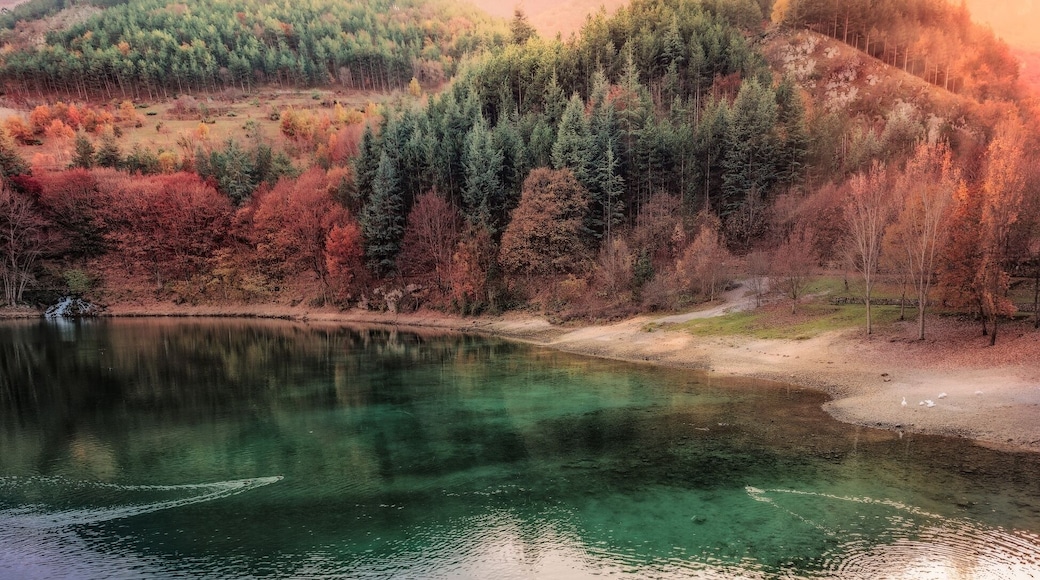 The Sagittarius Gole, spectacular and picturesque canyon carved by centuries of erosion of the rushing waters of the Sagittario river, represent one of the most important natural areas in Europe. The Regional Nature Reserve of the Sagittarius Gole (WWF since 1991) is located in the town of Anversa degli Abruzzi.
After two hours, starting from Rome, we reached this magical place driving along a small road for several kilometers on the bottom of this deep canyon.
The view of the lake, which suddenly appears after a curve, is one of the the most gorgeous spots that you can find in central Italy.