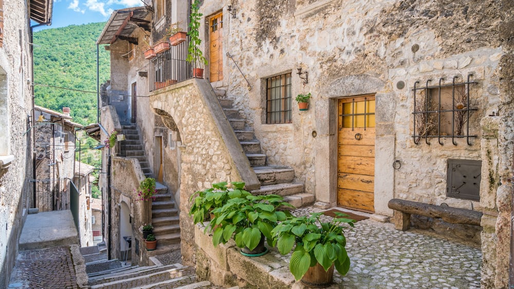 Un escalier étroit en pierre mène à une porte en bois, qui est entourée de plantes en pot et bordée de marches pavées.