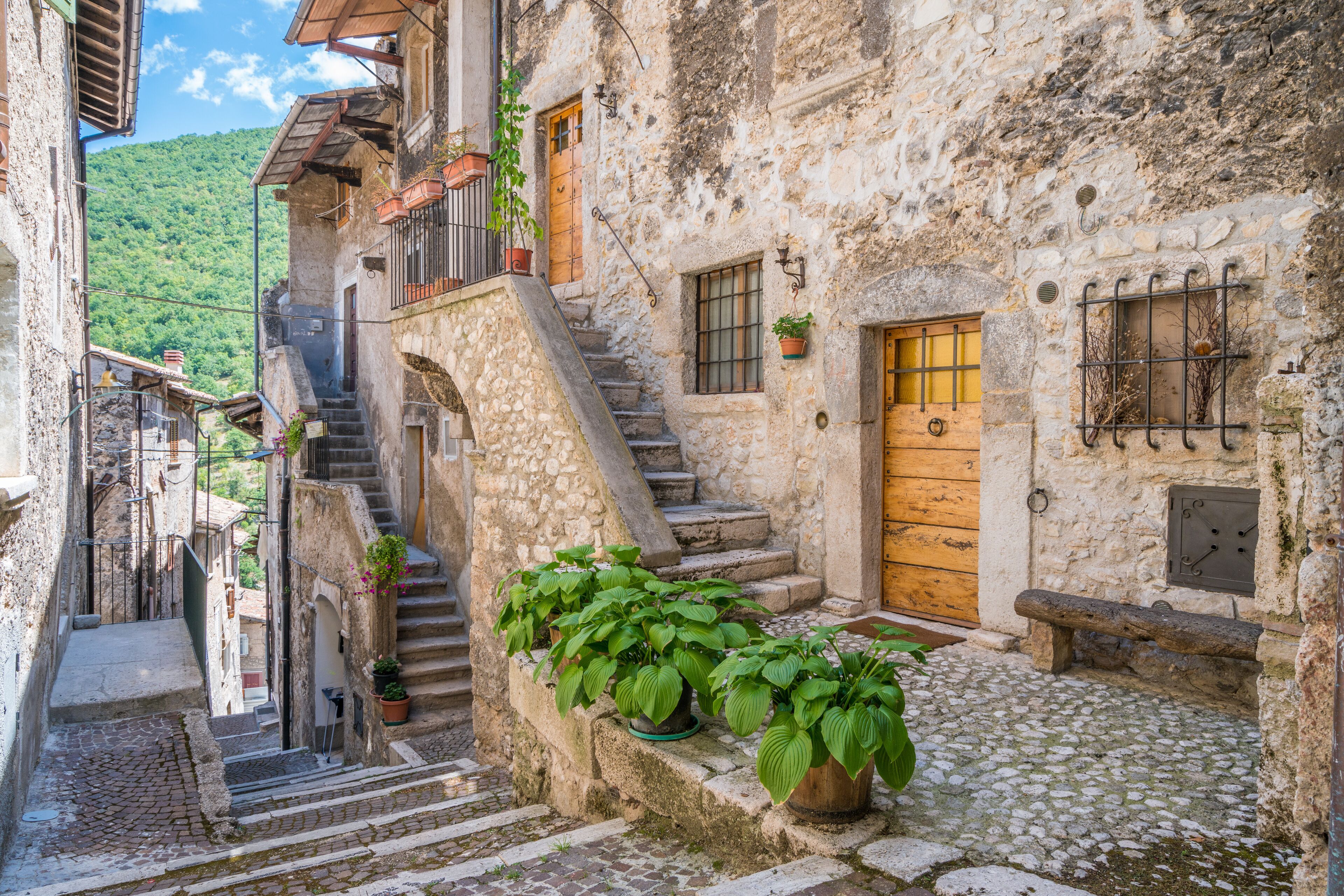 A narrow stone staircase leading up to a wooden door, surrounded by potted plants and cobblestone steps.