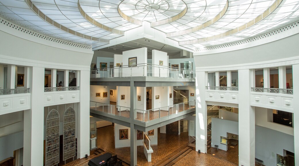 Museum of Art and Cultural History featuring interior views