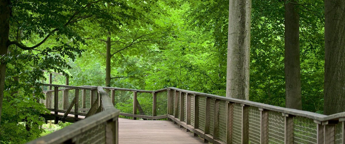 Olderdissen Animal Park which includes forest scenes and a bridge