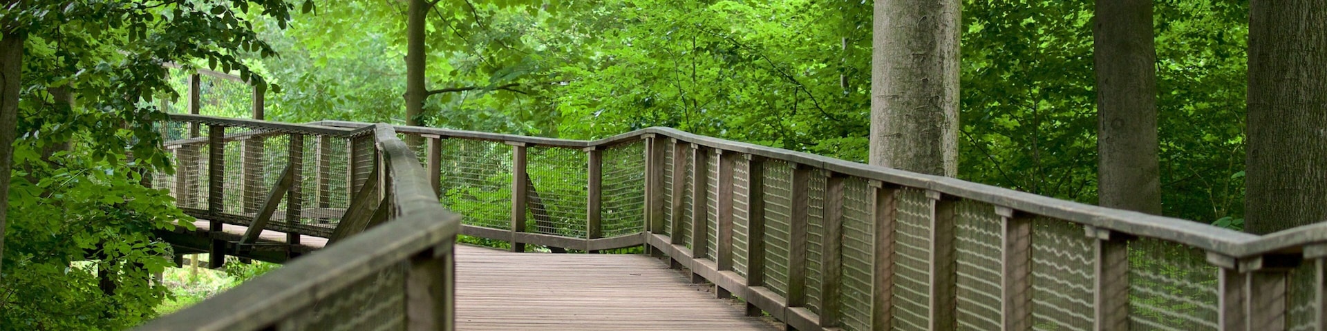 Parque de Animais de Olderdissen caracterizando uma ponte e cenas de floresta