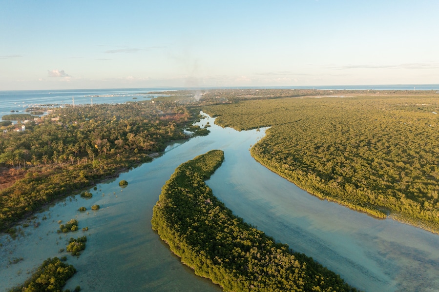 Aerial view of natural patterns formed by mangrove islands and winding water channels. Olango Island Wildlife Sanctuary in Lapu-Lapu, Philippines.