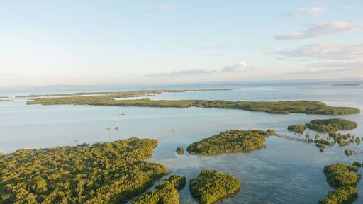 Coastline with narrow waterways surrounded by dense green mangroves. Olango Island Wildlife Sanctuary in Lapu-Lapu, Philippines.