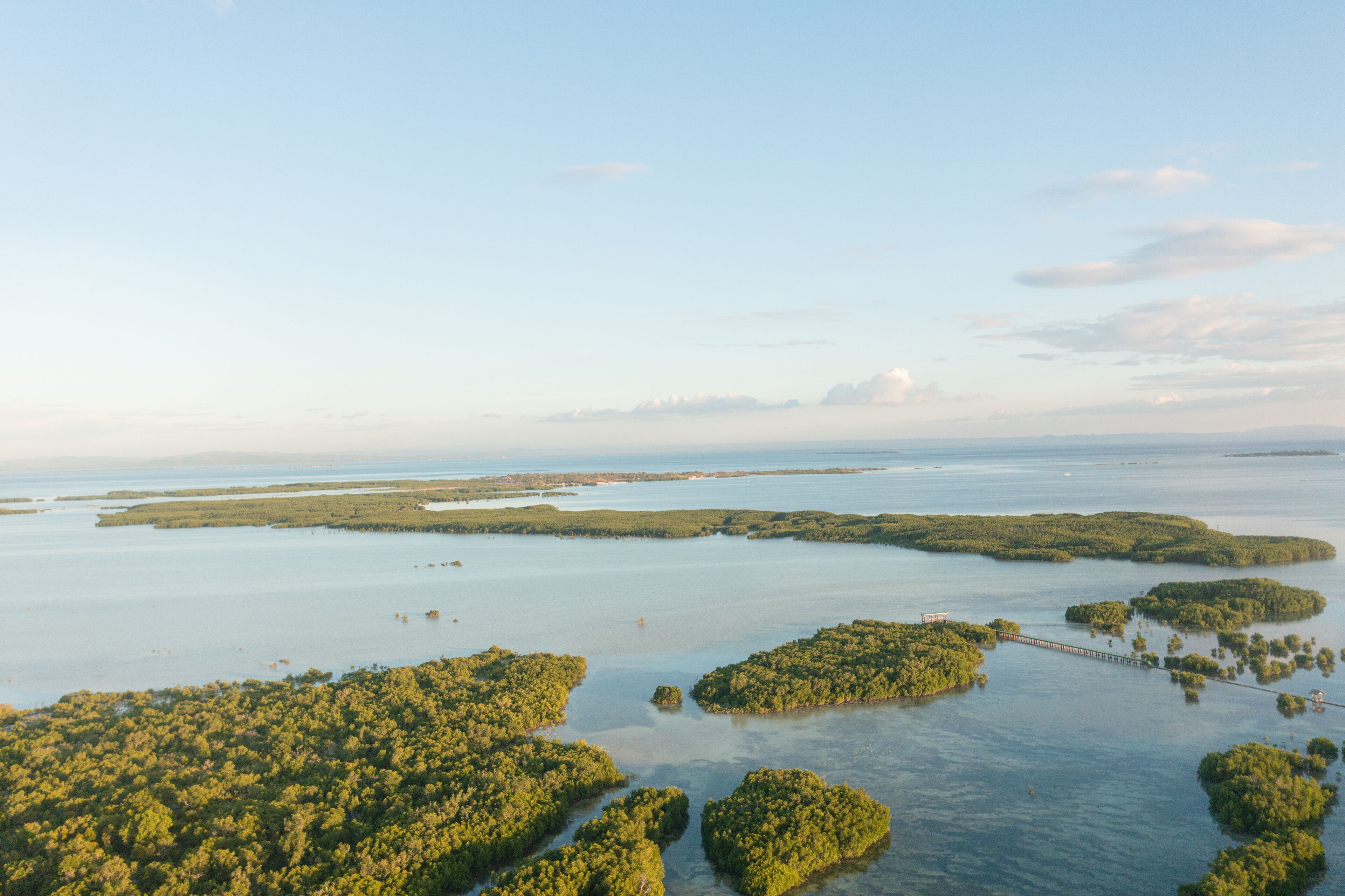 An aerial view of a coastal mangrove forest with a bridge connecting the islands.