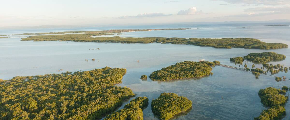 An aerial view of a coastal mangrove forest with a bridge connecting the islands.