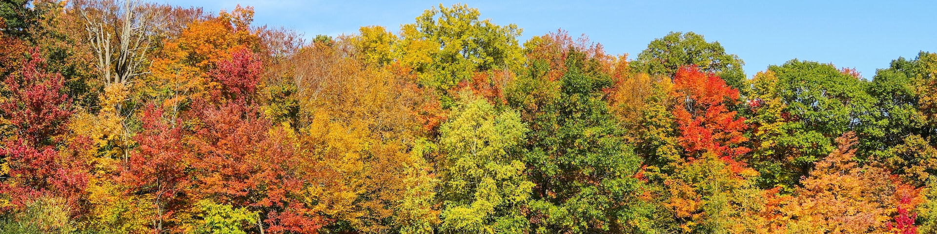 Colorful and autumnal trees reflecting in the water, at the St Bruno national park, Québec