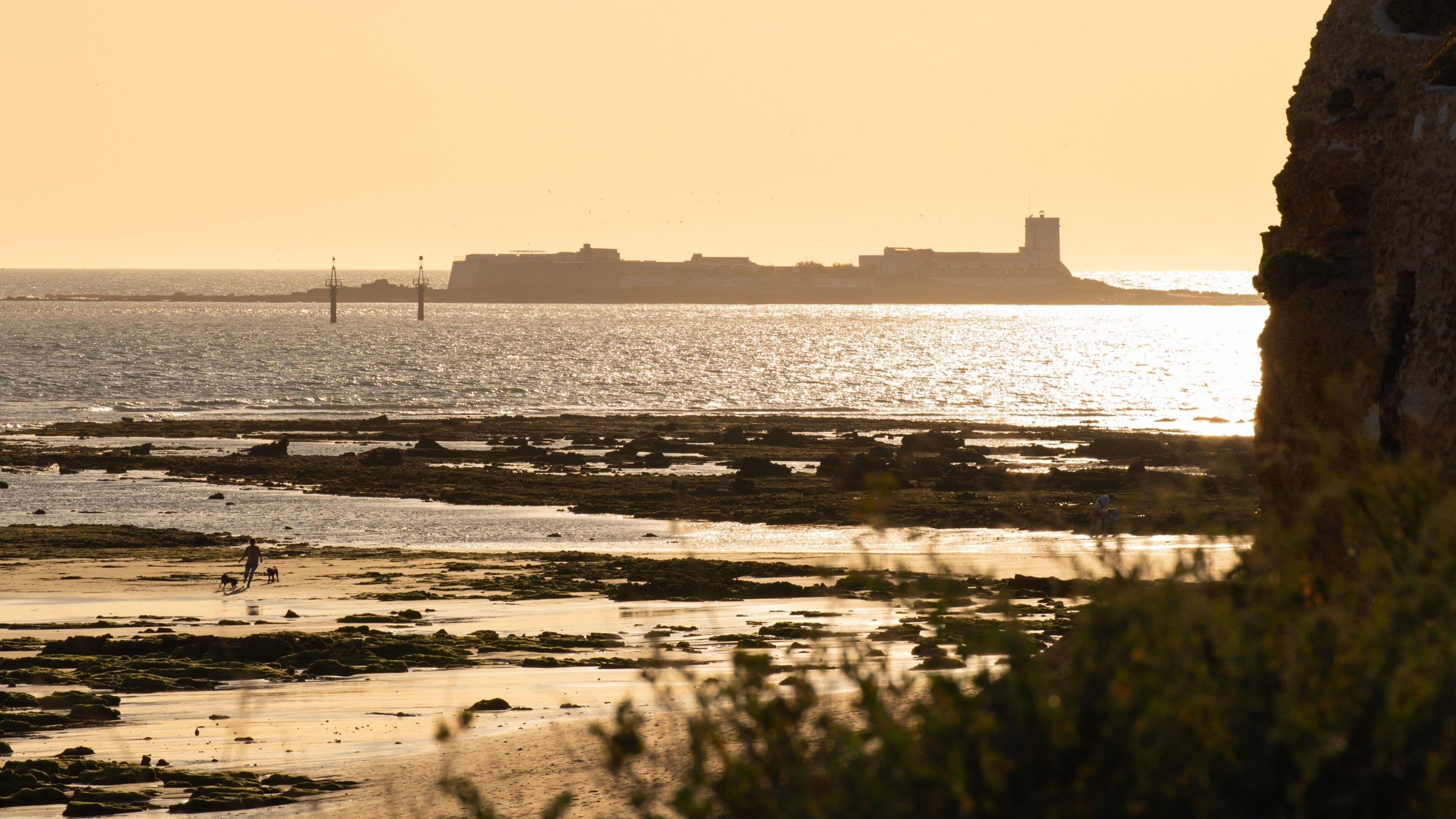Münster City Museum