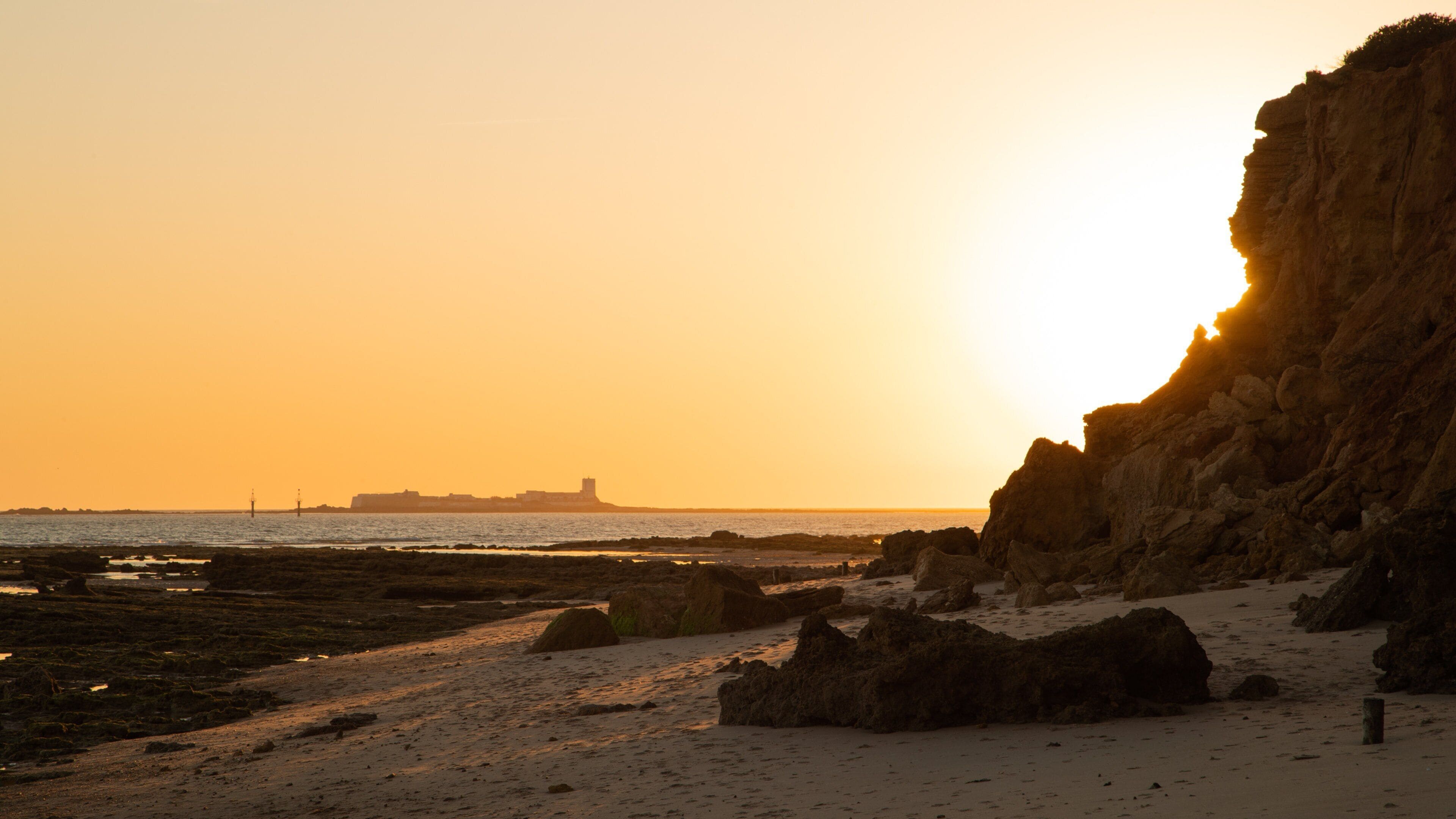 Münster City Museum