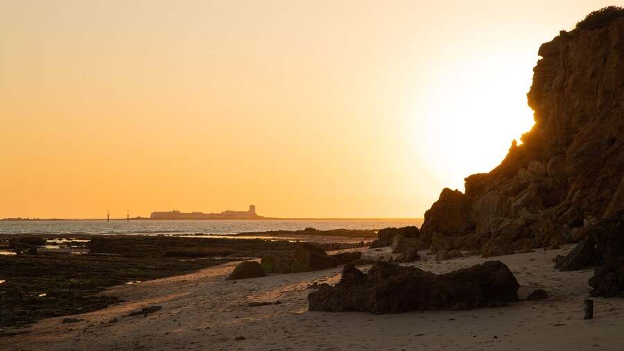 Münster City Museum