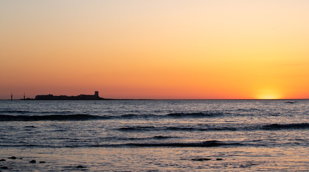 Münster City Museum