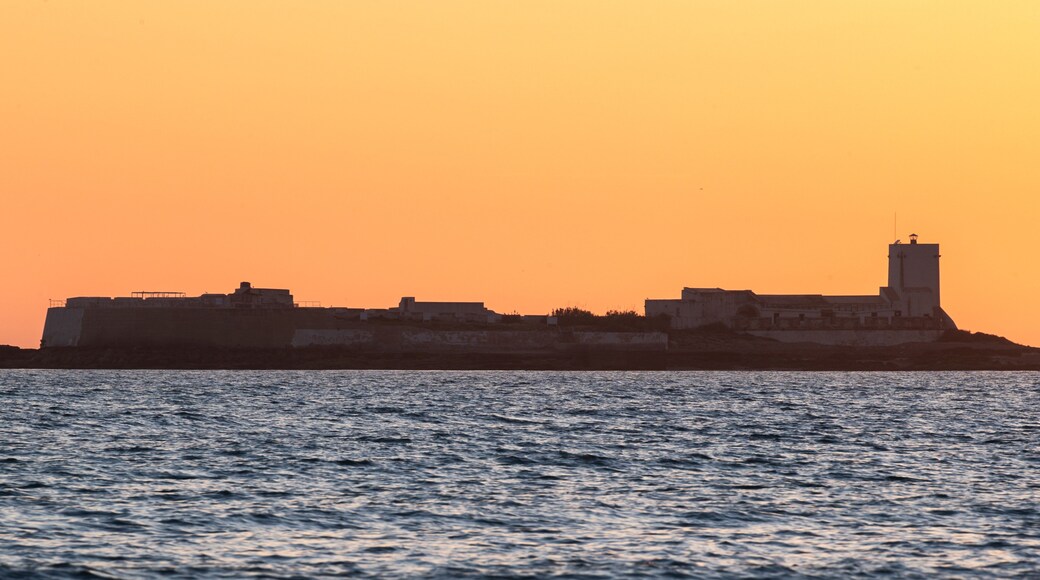 Münster City Museum