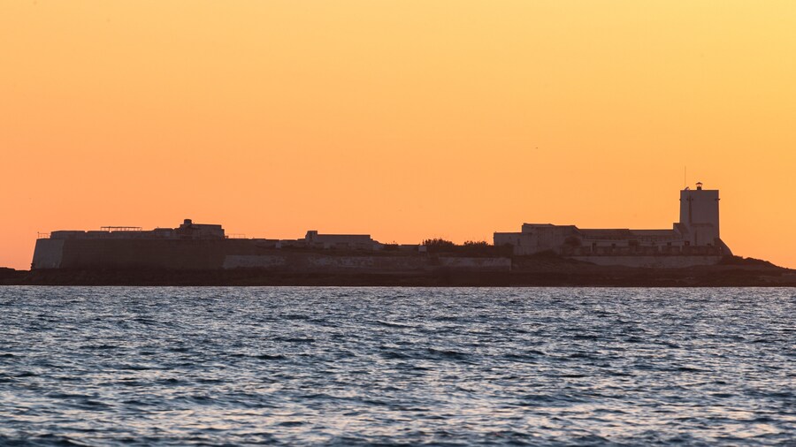 Münster City Museum