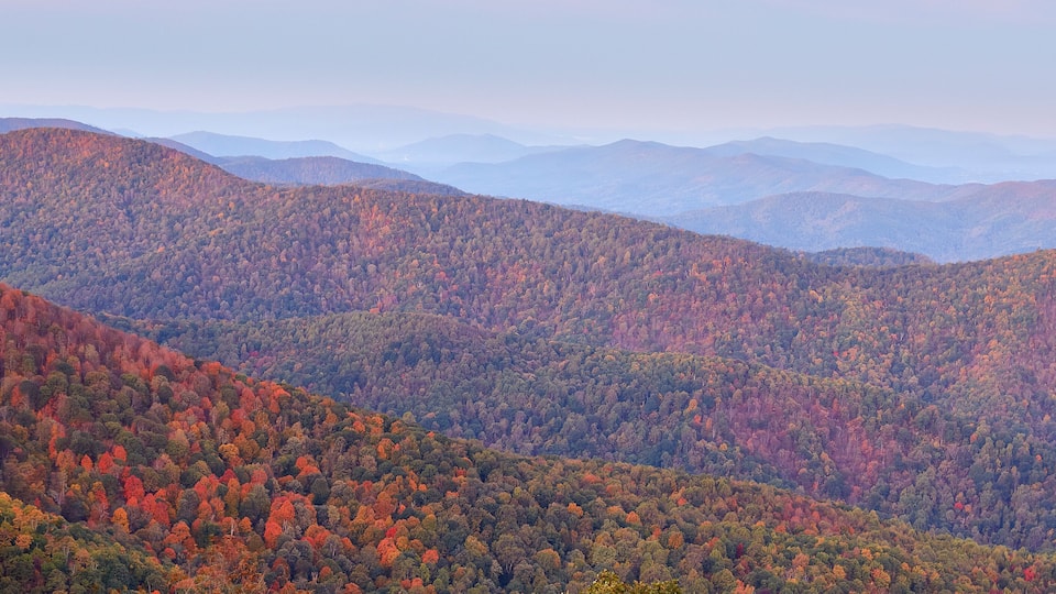 A mountainous landscape with autumn foliage.