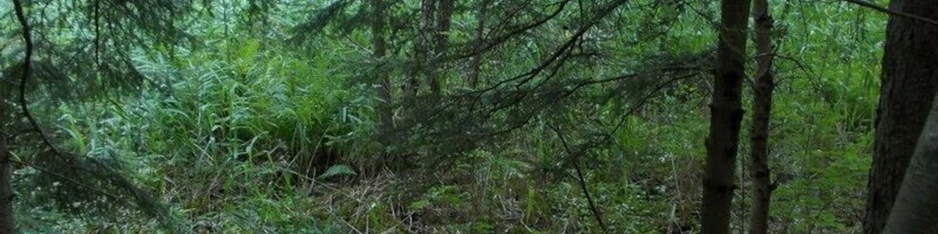 LOLAIR NATURAL RESERVE IFF-634 IZ5GST/IX1 IU5AXT/IX1