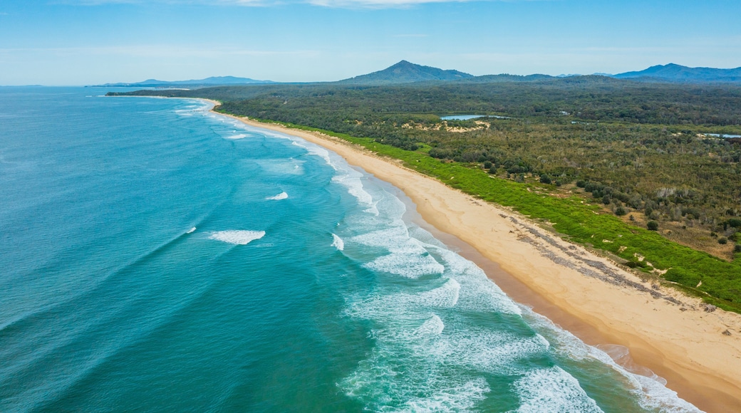 Urunga which includes landscape views, general coastal views and a sandy beach