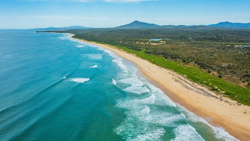 Urunga which includes landscape views, general coastal views and a sandy beach