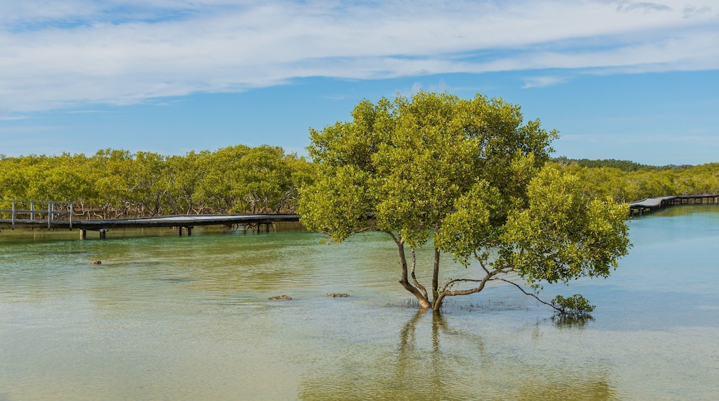Urunga