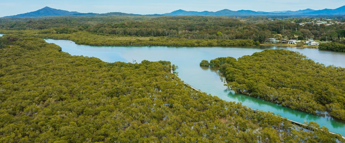 A river winding through a dense forest with a mountain range in the background.