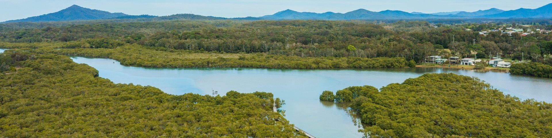 A river winding through a dense forest with a mountain range in the background.