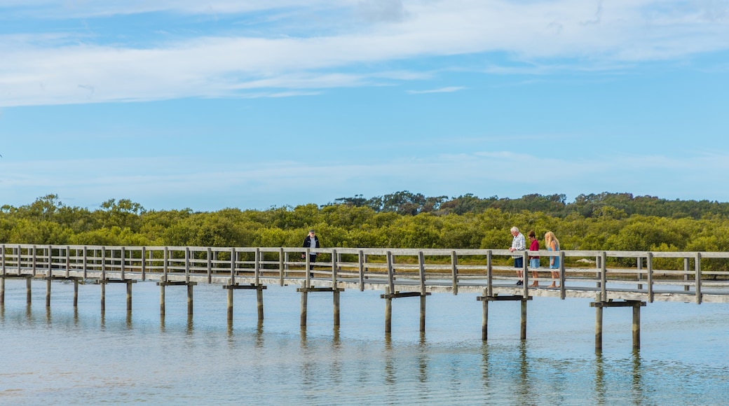 Urunga which includes wetlands
