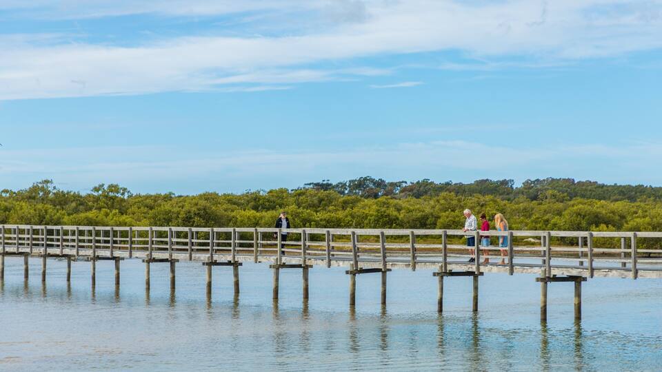 A wooden pier extending into calm water, surrounded by dense green vegetation and a clear sky.