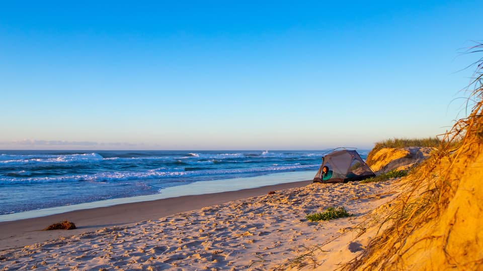 A beach with sand dunes, a tent, and the ocean.