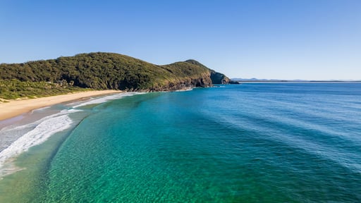 Eine KĂŒstenlandschaft mit klarem tĂŒrkisblauem Wasser, einem Sandstrand und einem bewaldeten HĂŒgel.