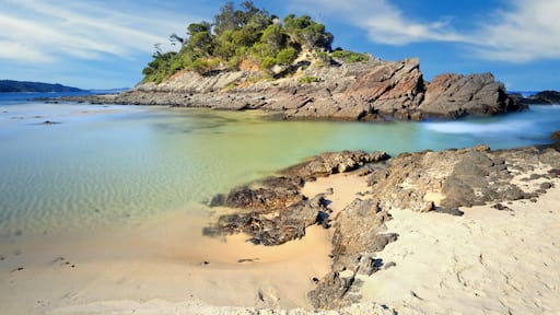 Number One Beach, Seal Rocks, Australia, on a beautiful sunny day.; Shutterstock ID 572122153; Purchase Order: -