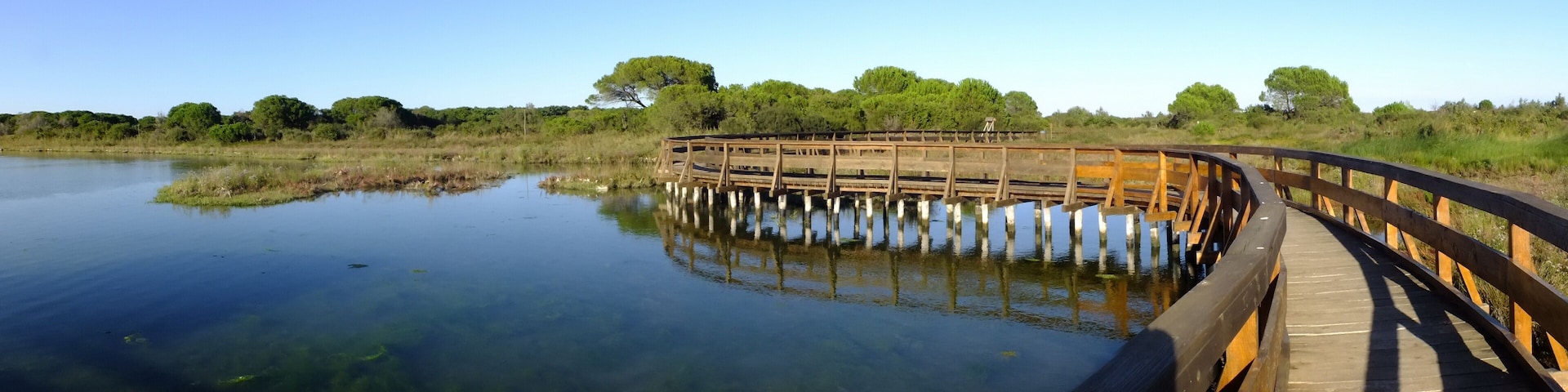 Boardwalk at the Po Delta Botanical Garden in the salt marsh at Rosolina Mare, Italy