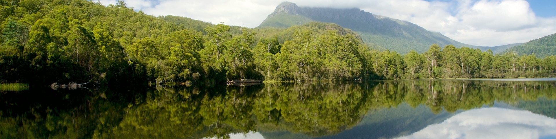 Lago Rosebery mostrando pântano e um lago ou charco