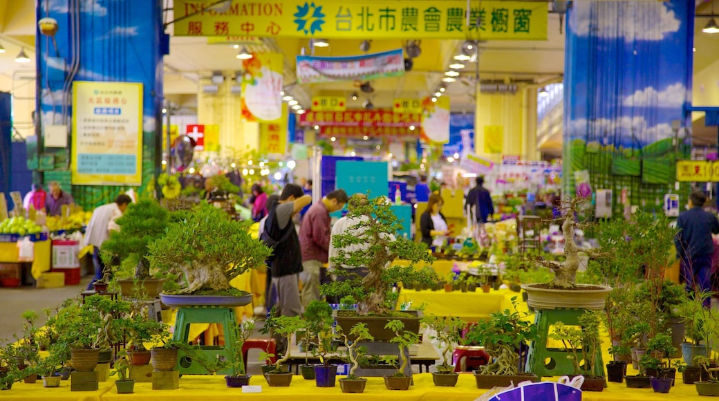 Taipei which includes flowers