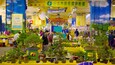 Un mercado de plantas de interior lleno de vida, con diversas macetas exhibidas sobre mesas.